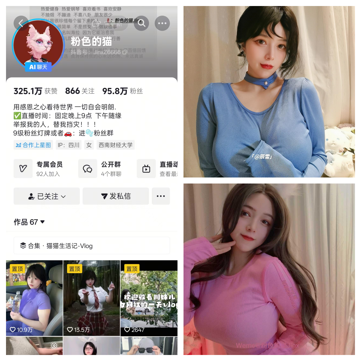 粉色的猫秘语空间/幻宇星球合集-电鸽