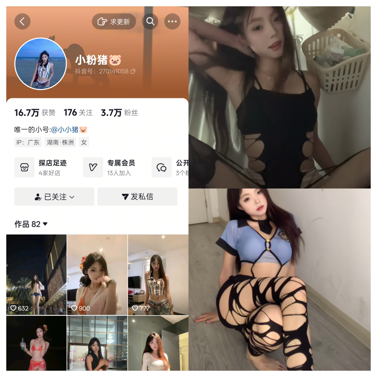 抖音小粉猪私人定制-电鸽