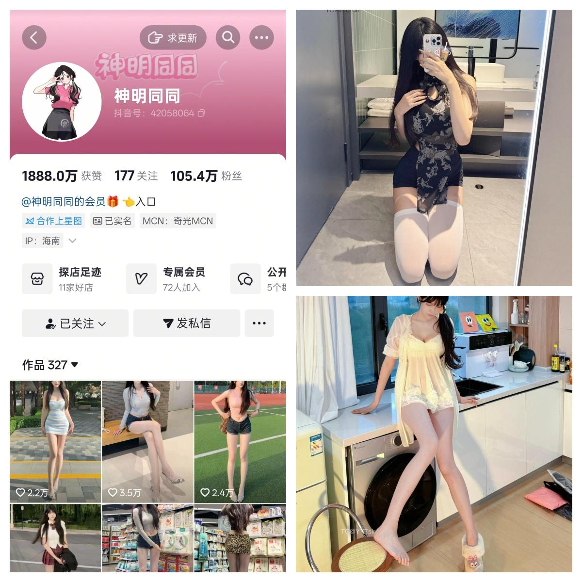 神明同同 合集-电鸽