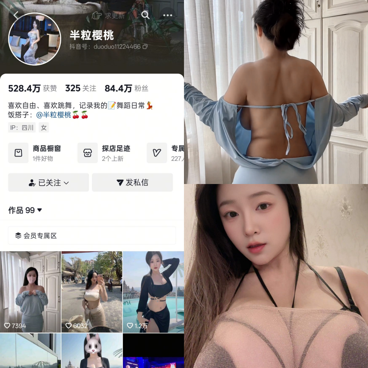 半粒樱桃合集-电鸽