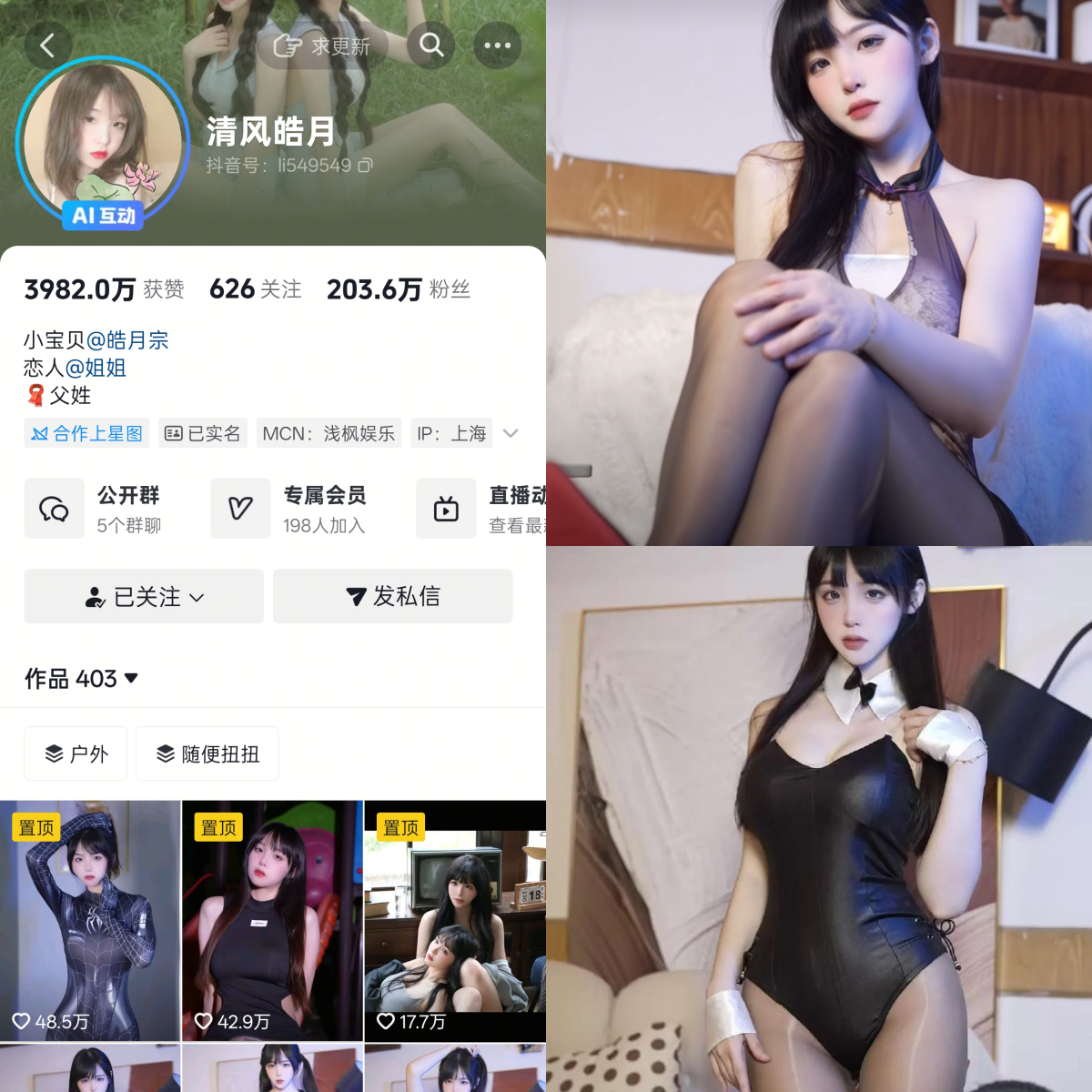 清风皓月合集-电鸽