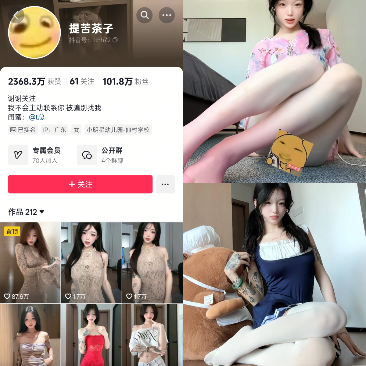 提苦茶子合集-电鸽