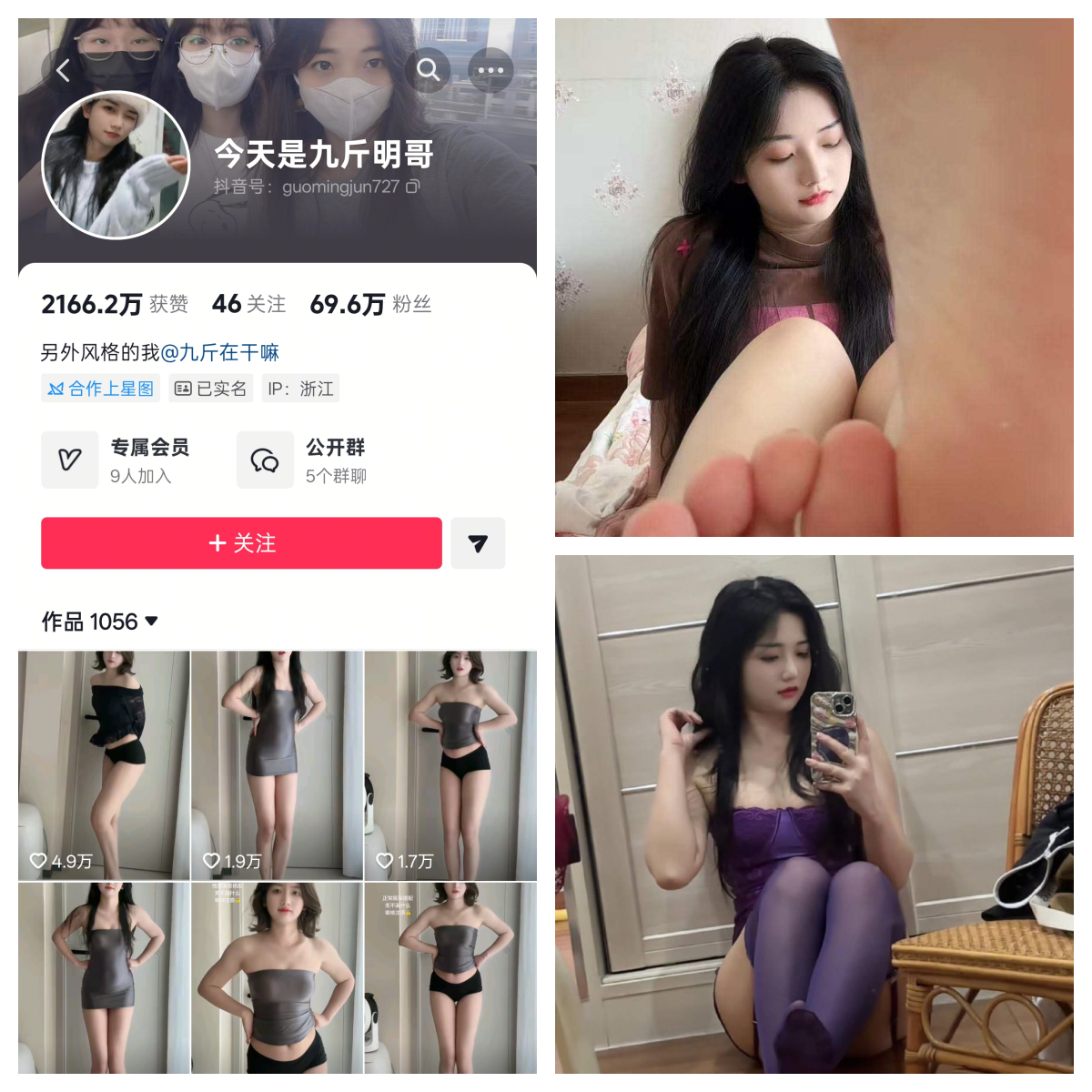 今天是九斤明哥合集-电鸽