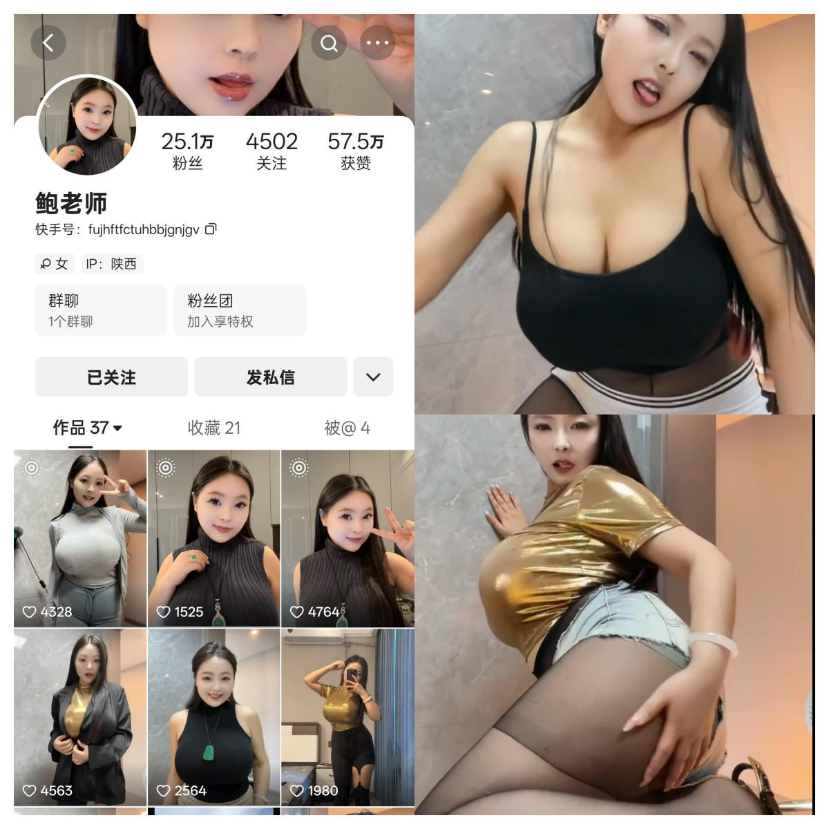 快手鲍老师私人定制-电鸽