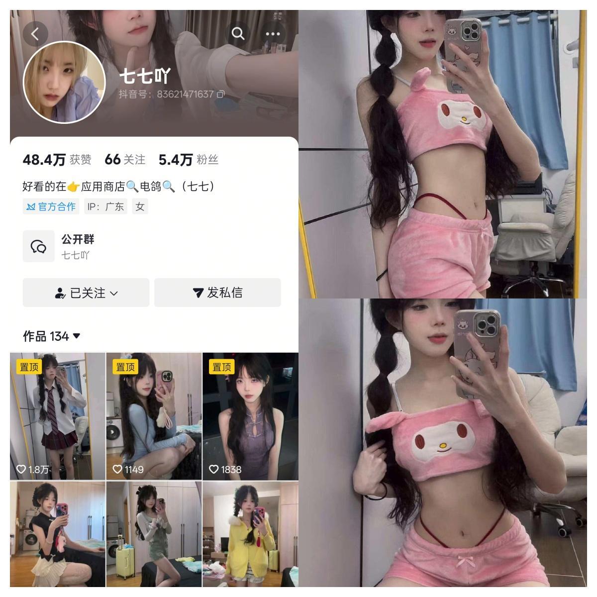 七七吖合集-电鸽