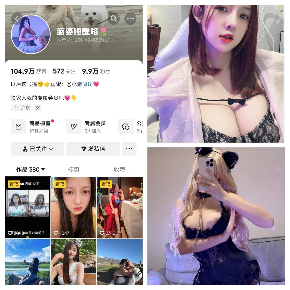 脑婆睡醒咯秘语空间/幻宇星球合集-电鸽