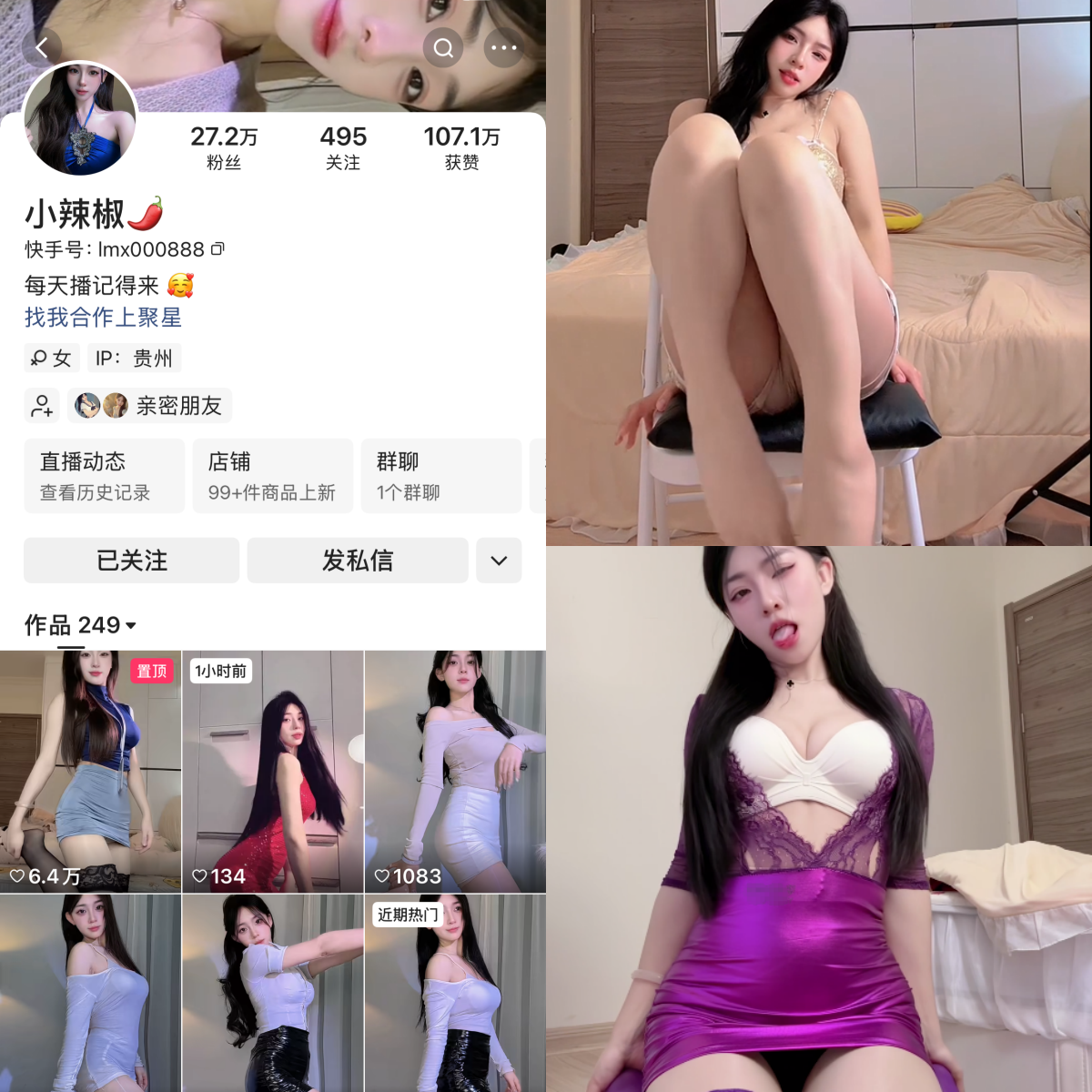 快手小辣椒私人定制-电鸽