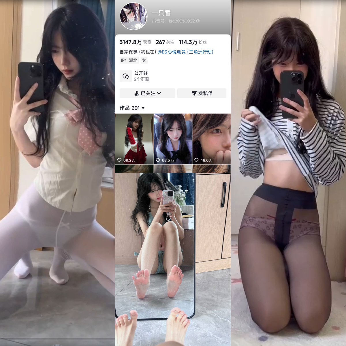 一只香合集-电鸽