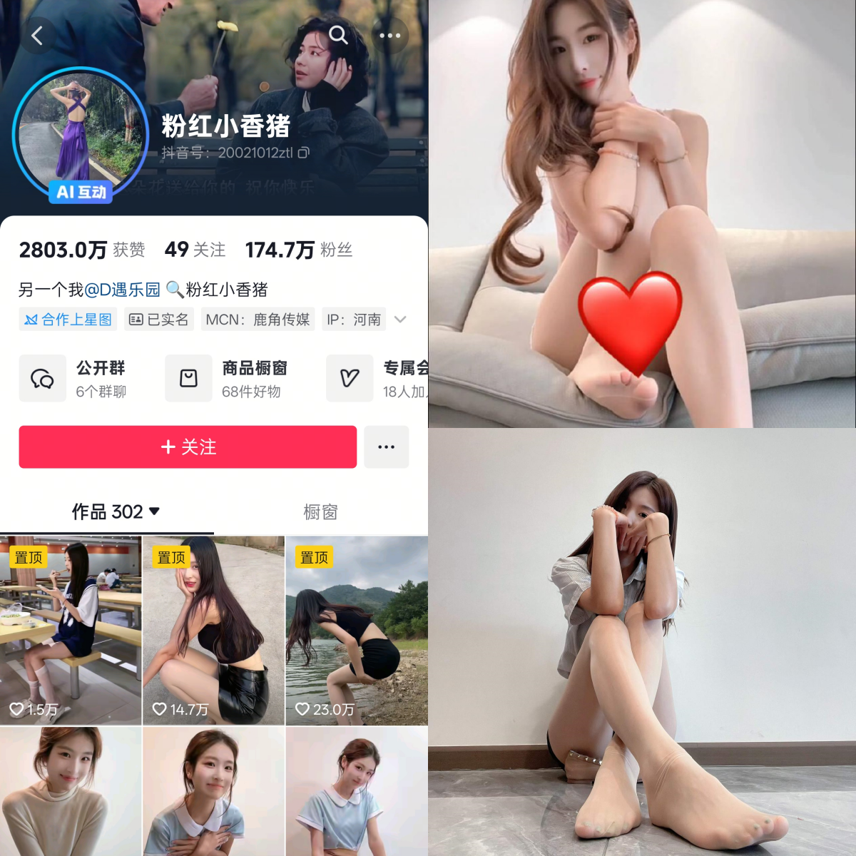 粉红小香猪合集-电鸽