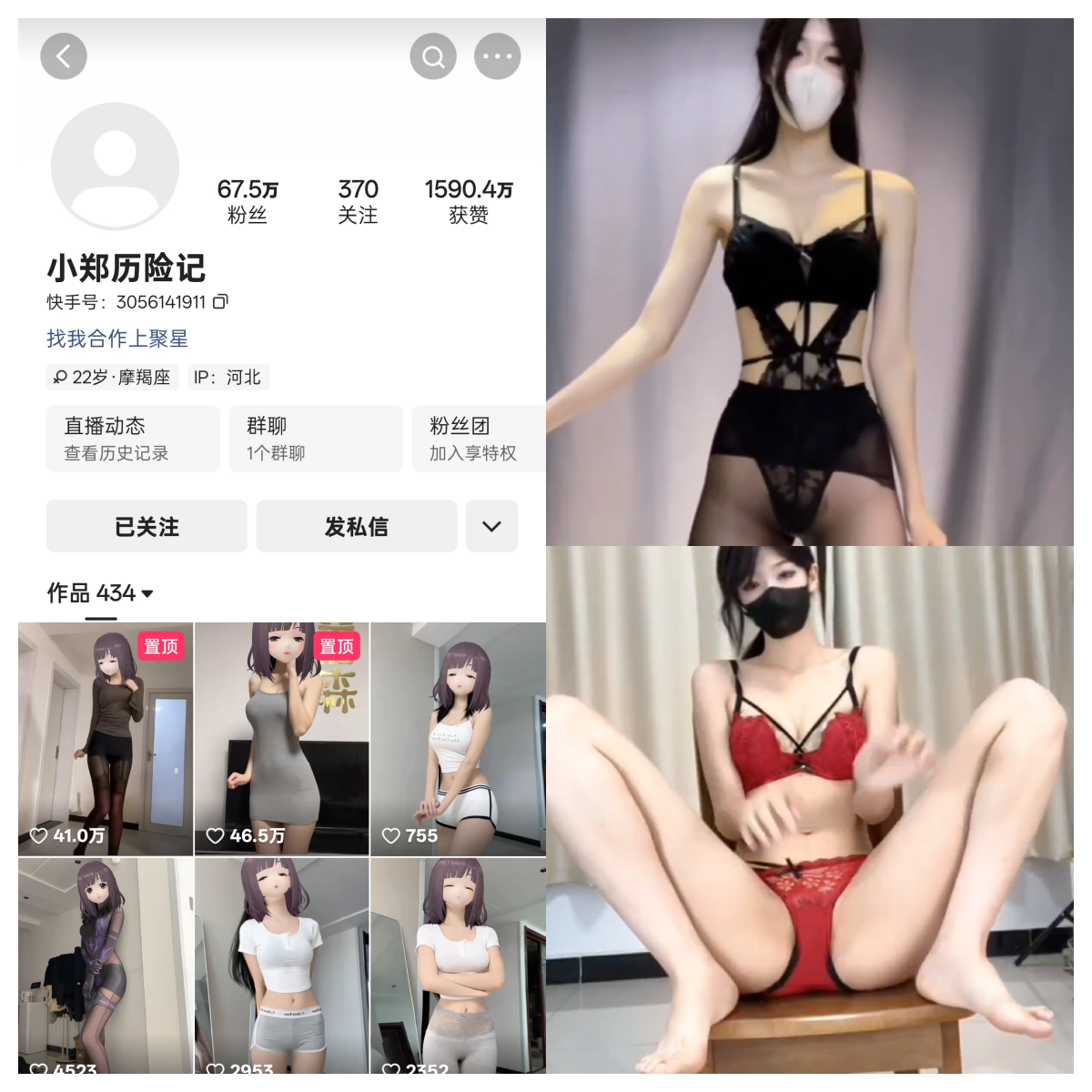 快手小郑历险记私人定制-电鸽