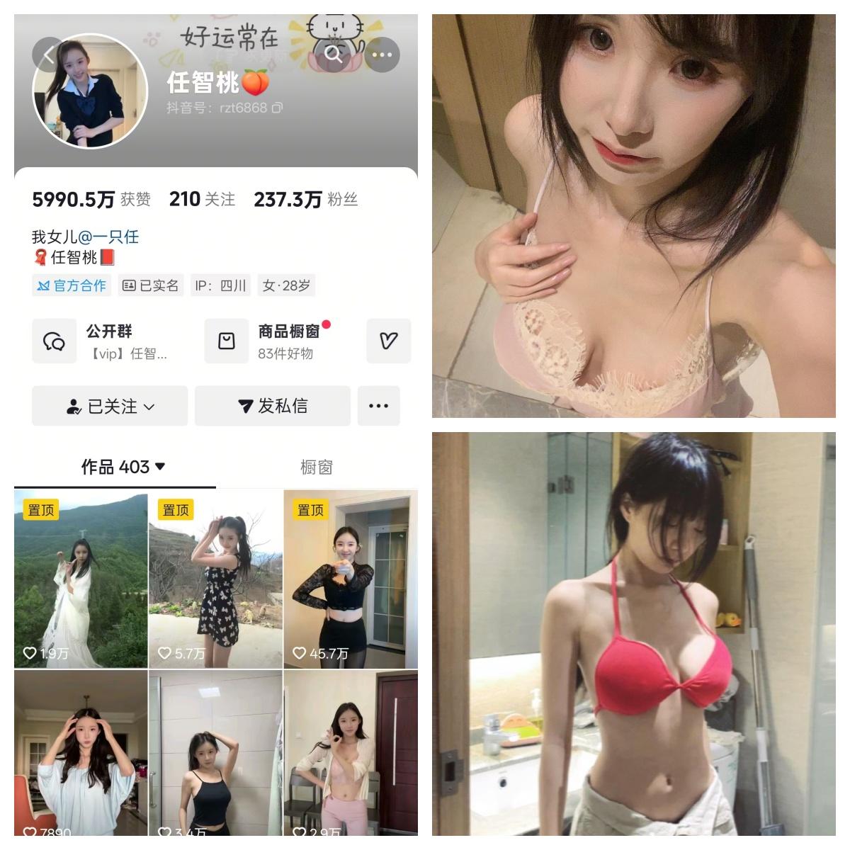 任智桃秘语空间/幻宇星球合集-电鸽