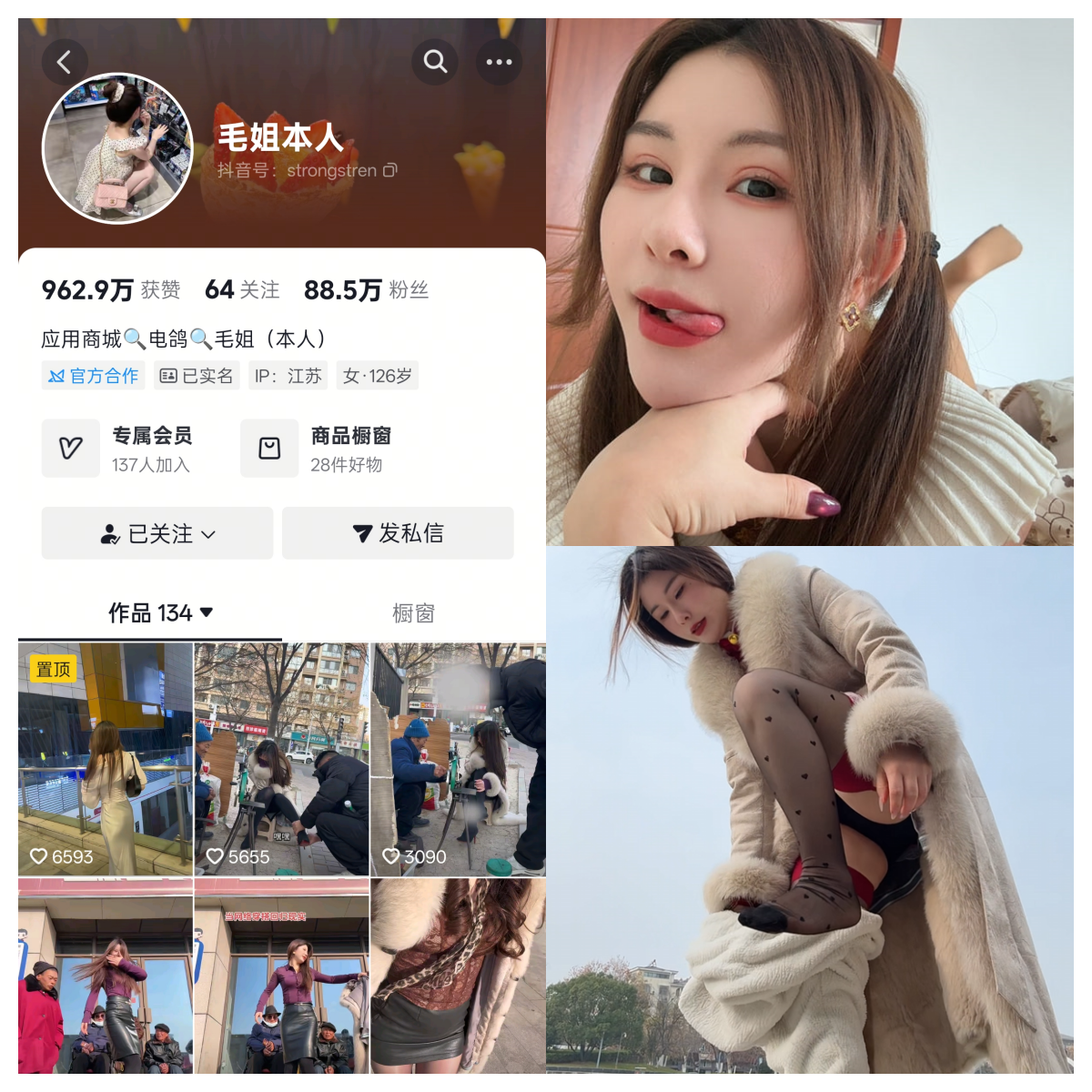 毛姐本人合集-电鸽