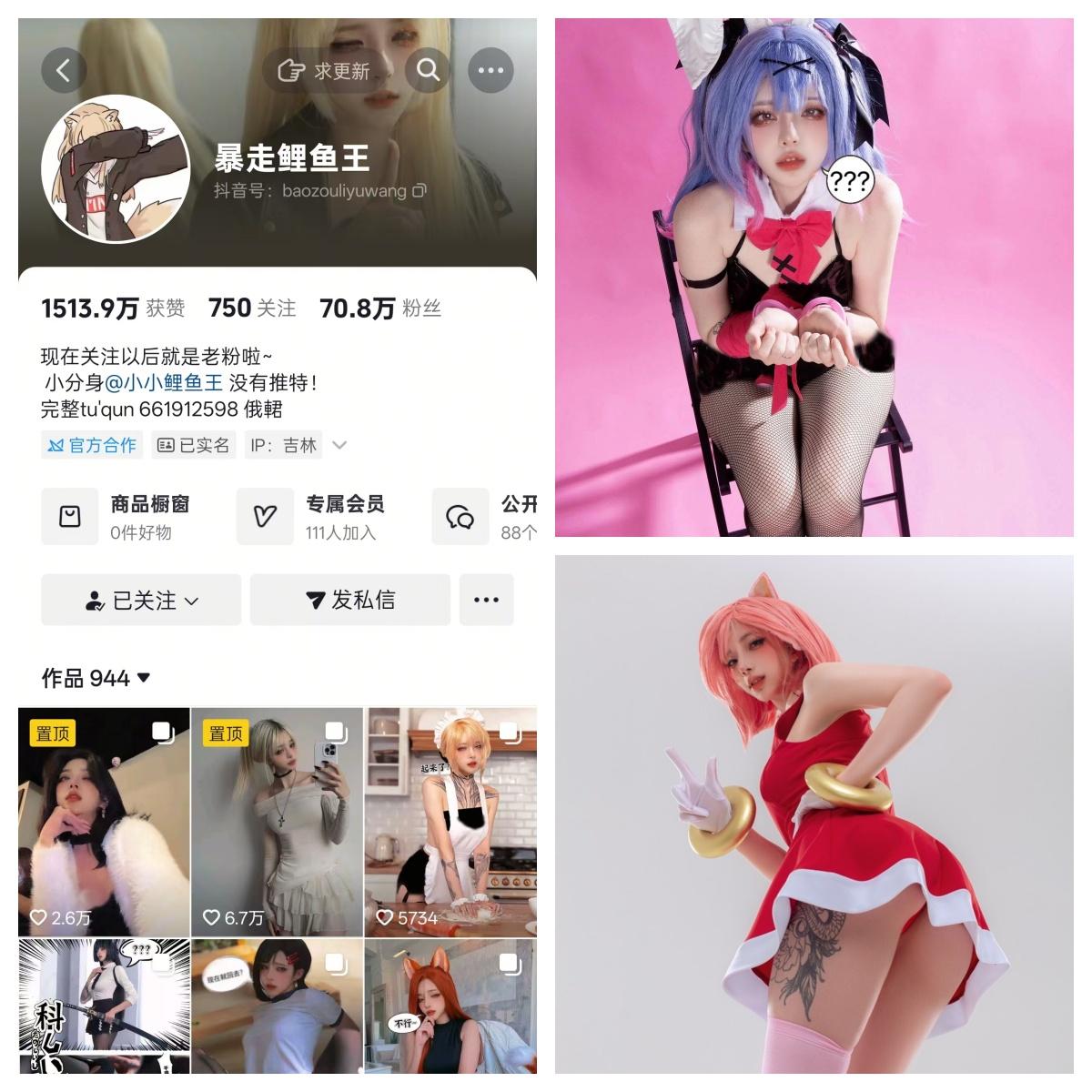 暴走鲤鱼王付费定制COS图集资源合集-电鸽