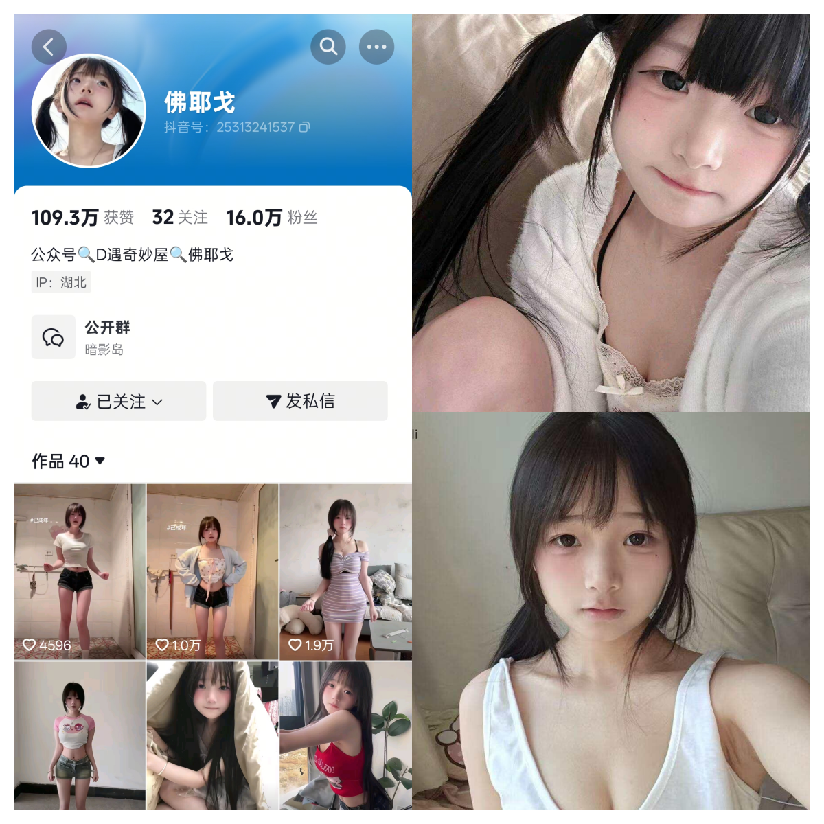 佛耶戈合集-电鸽