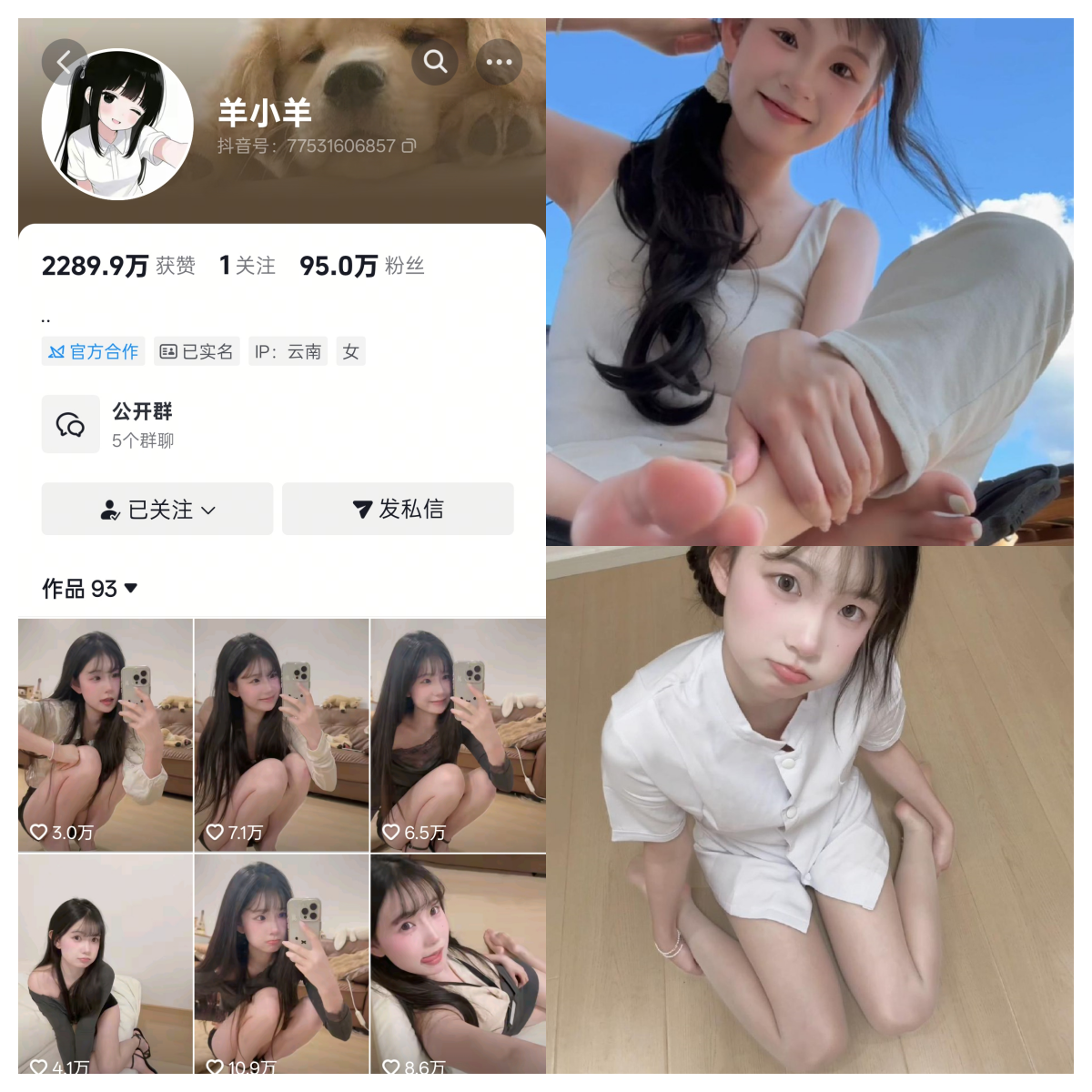 羊小羊合集-电鸽