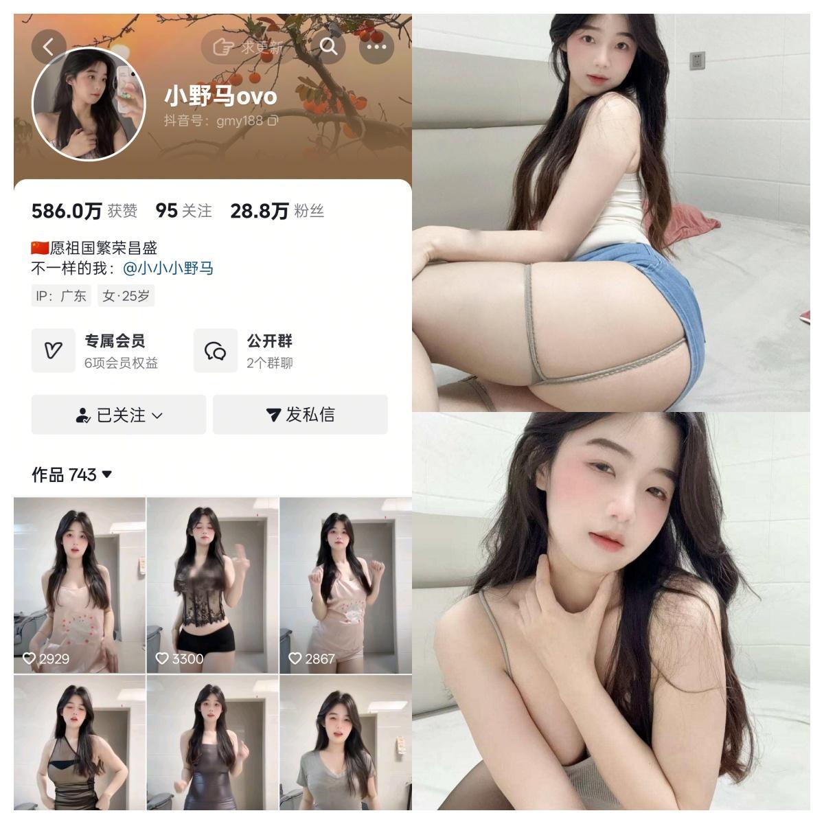 小野马ovo 合集-电鸽