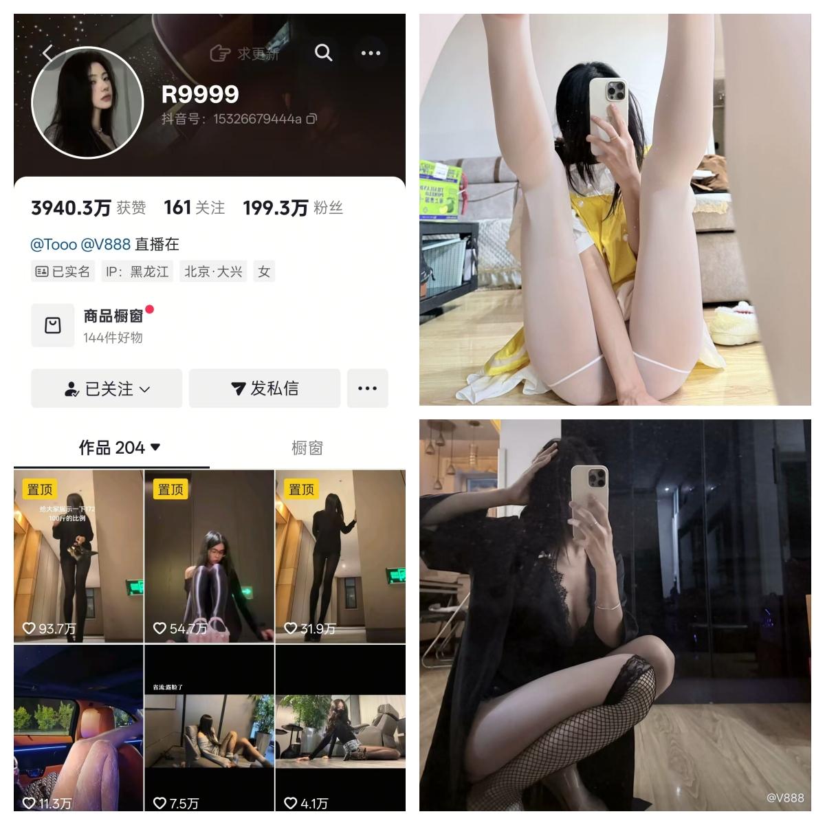 R9999(V888) 合集-电鸽