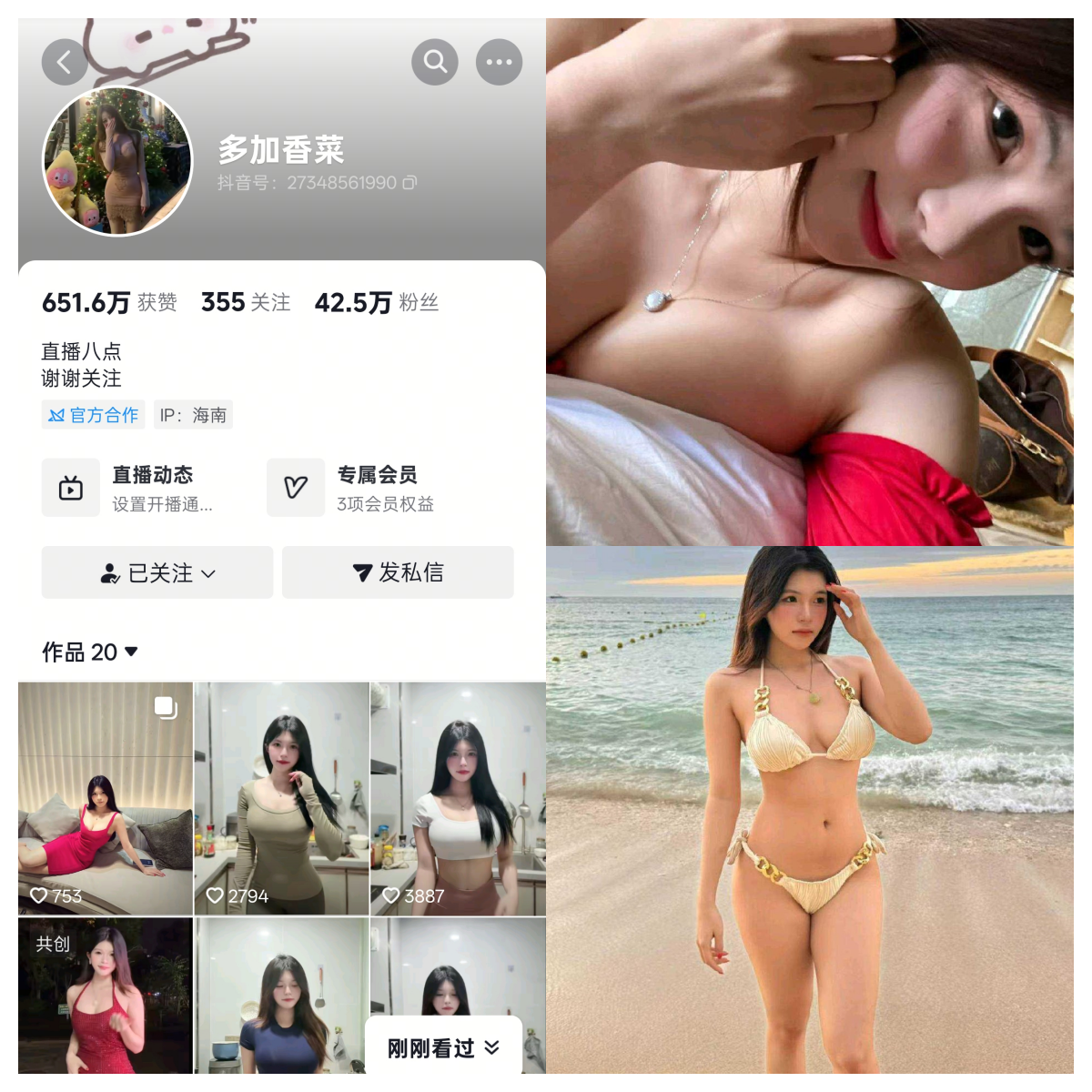 多加香菜合集-电鸽