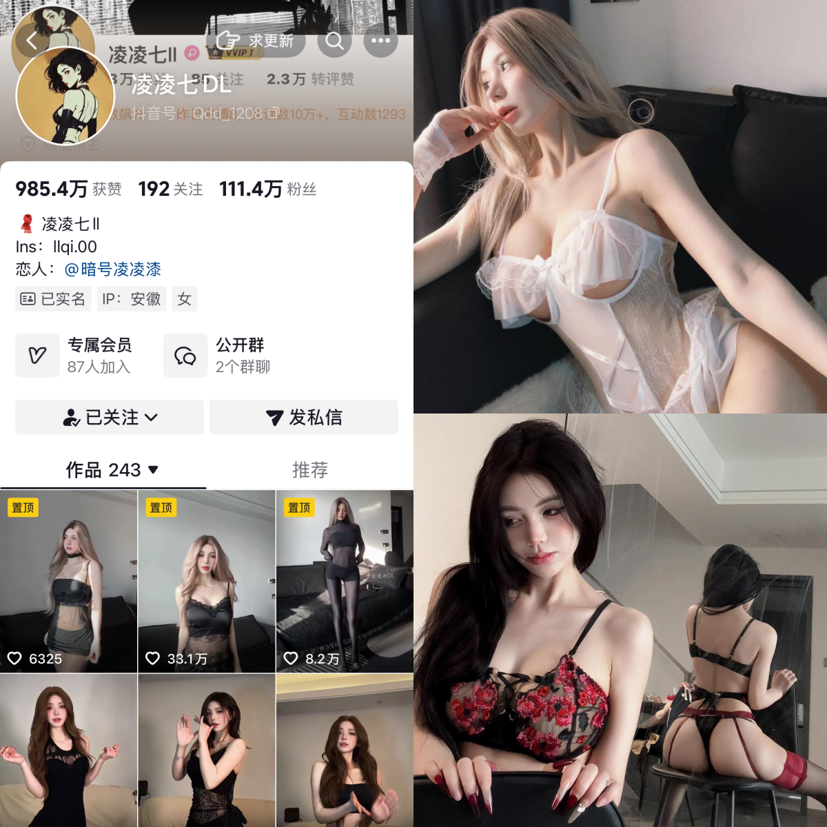 凌凌七DL合集-电鸽