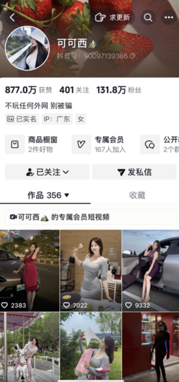 图片[3]-可可西私人定制-电鸽