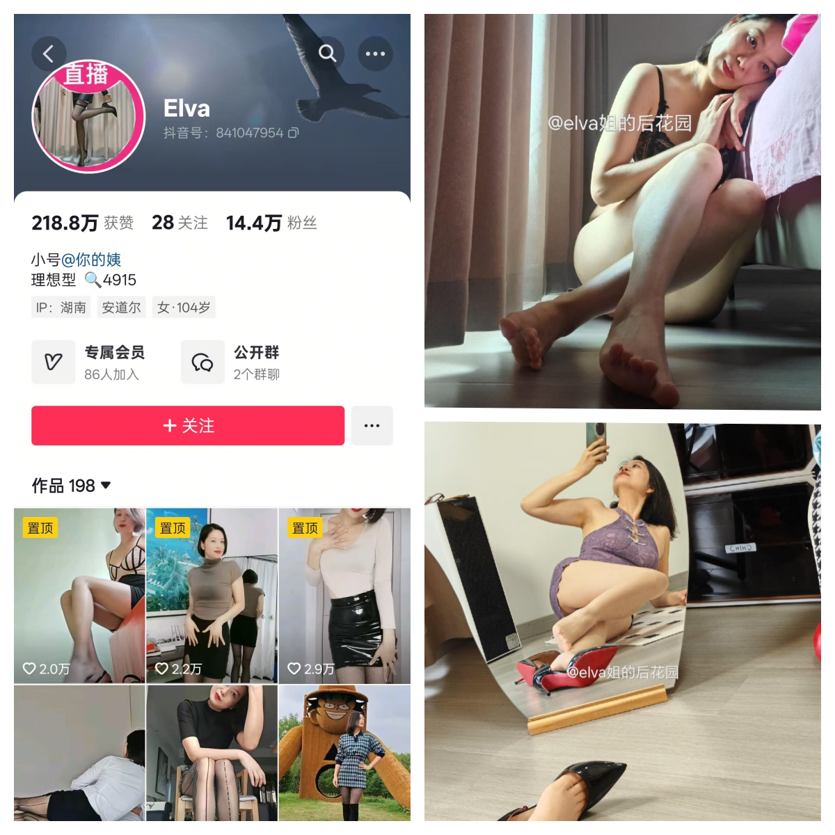 elva姐的后花园合集-电鸽