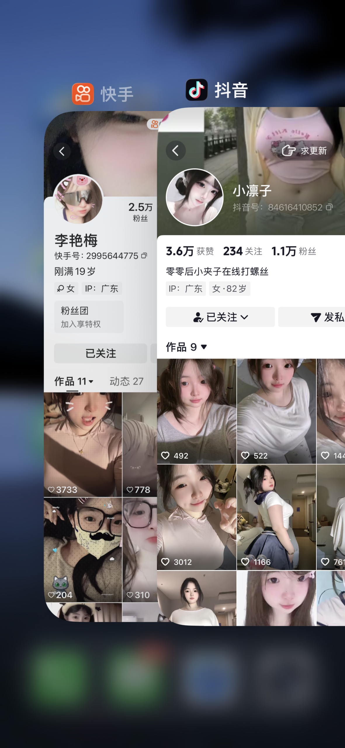 图片[2]-烧肉小野猫合集-电鸽