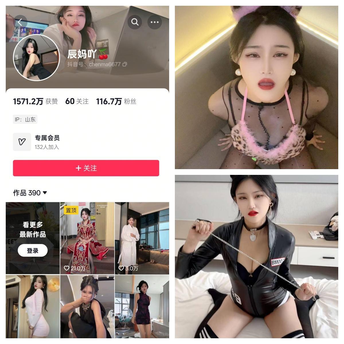 辰妈吖合集-电鸽