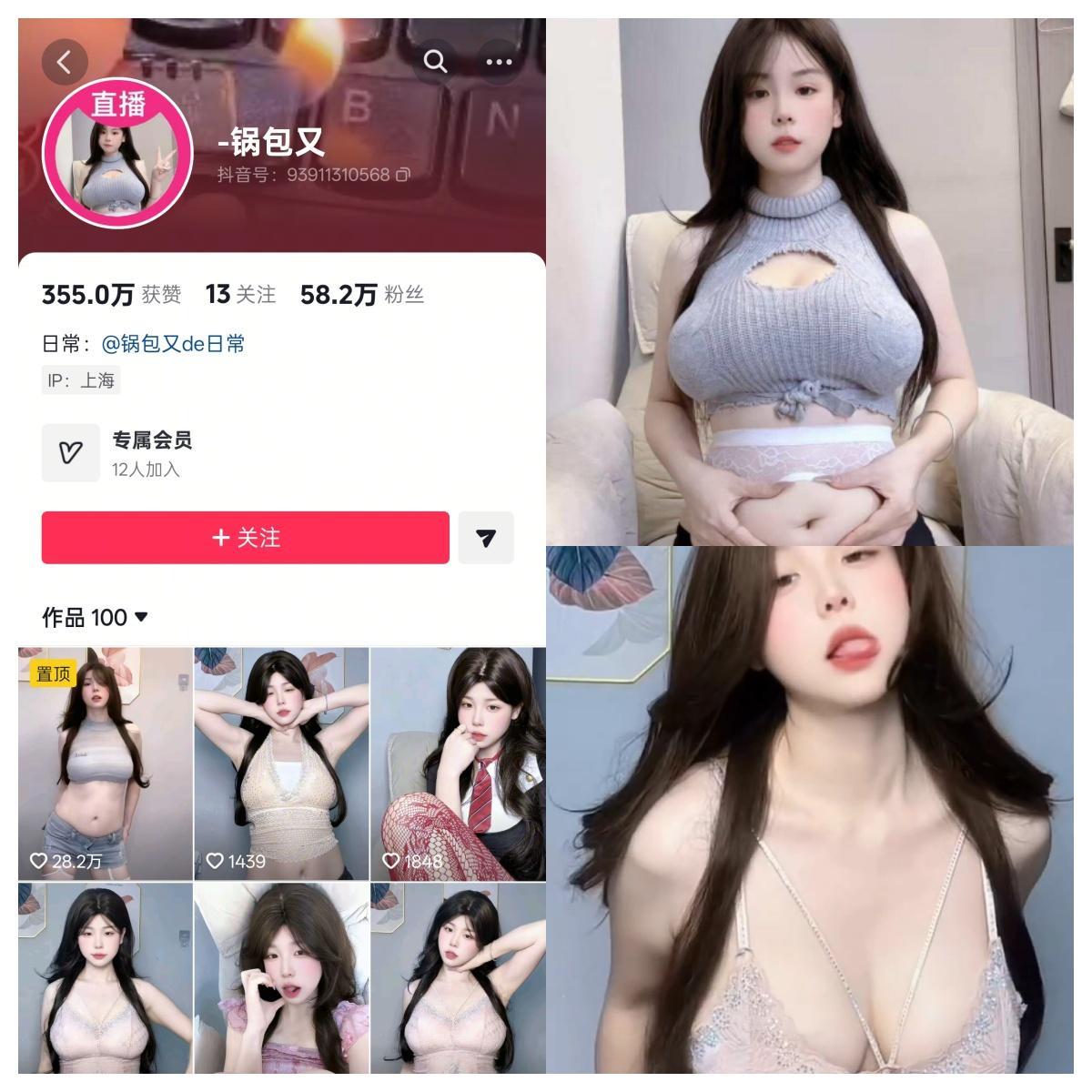 锅包又 合集-电鸽