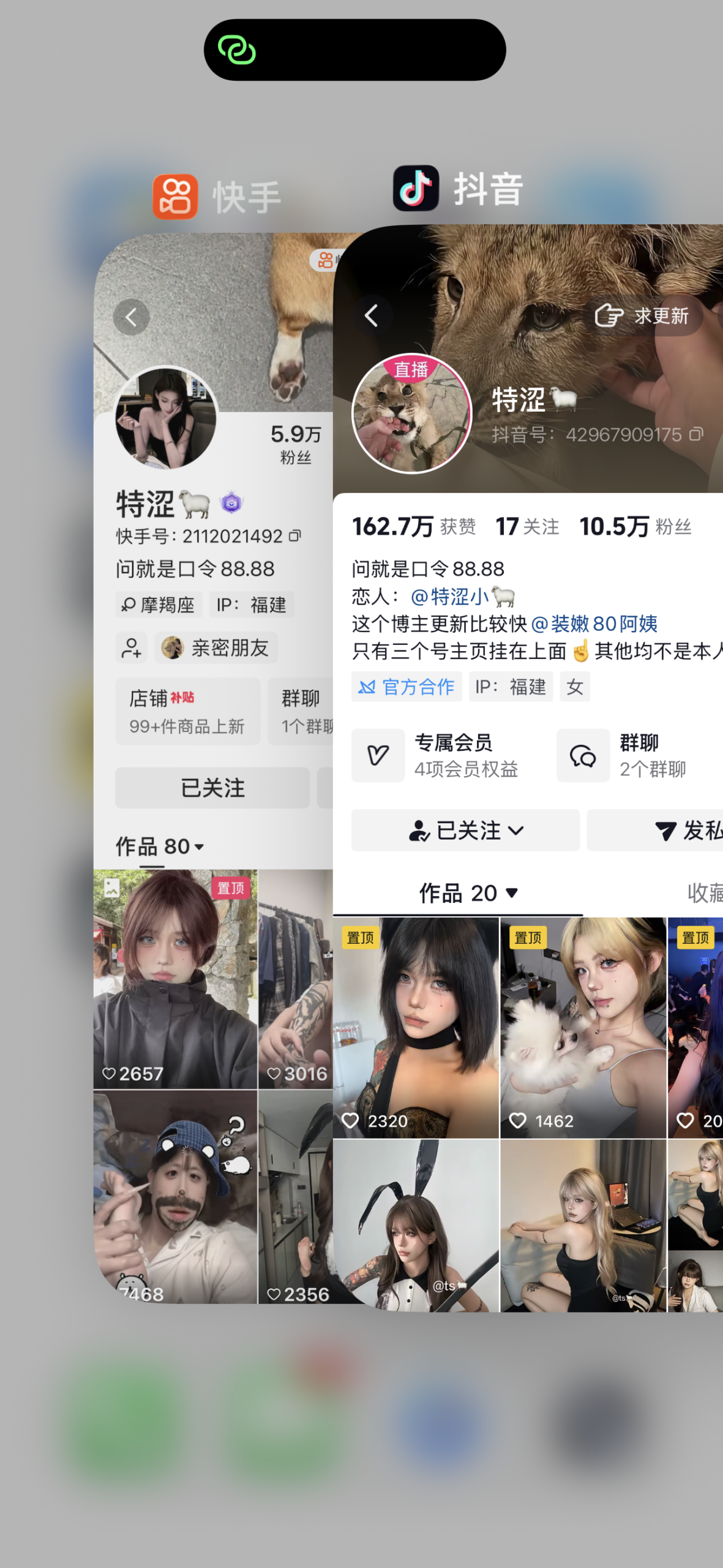 图片[2]-抖音特涩羊私人定制-电鸽官网