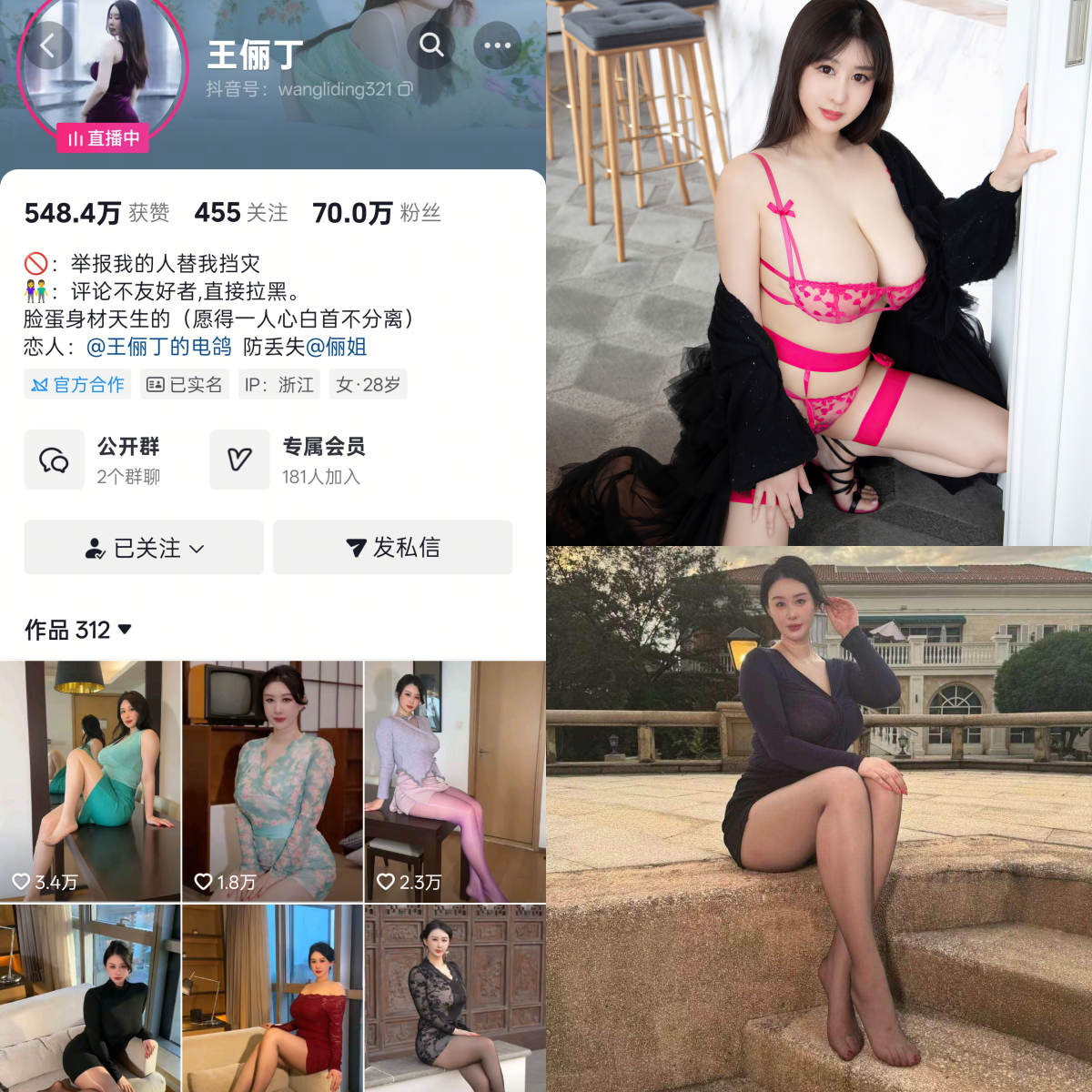 王俪丁 合集-电鸽