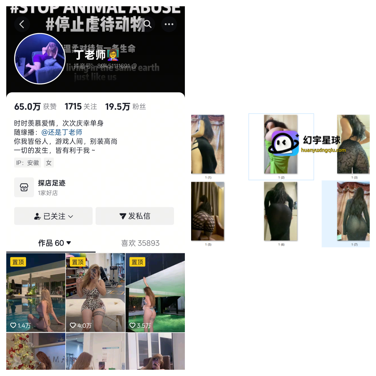 抖音丁老师私人定制-电鸽