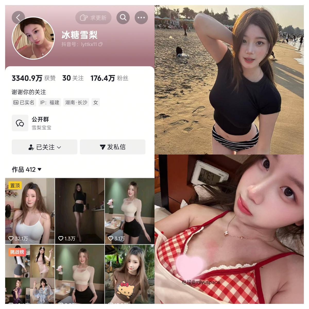 冰糖雪梨合集-电鸽