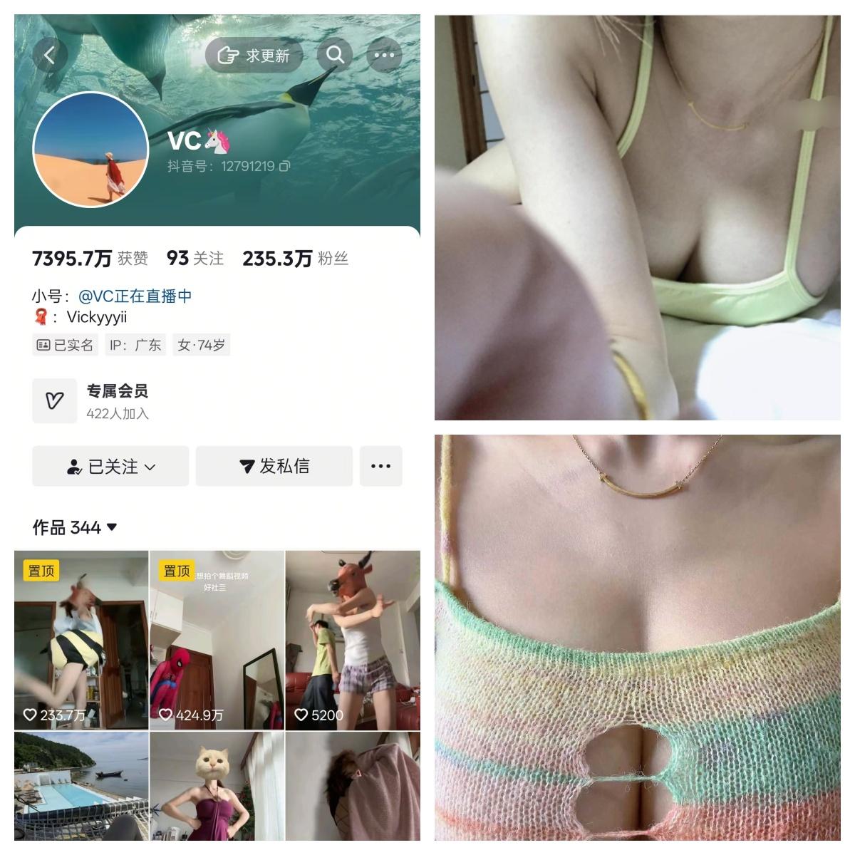 Vickyyyii(VC)合集-电鸽