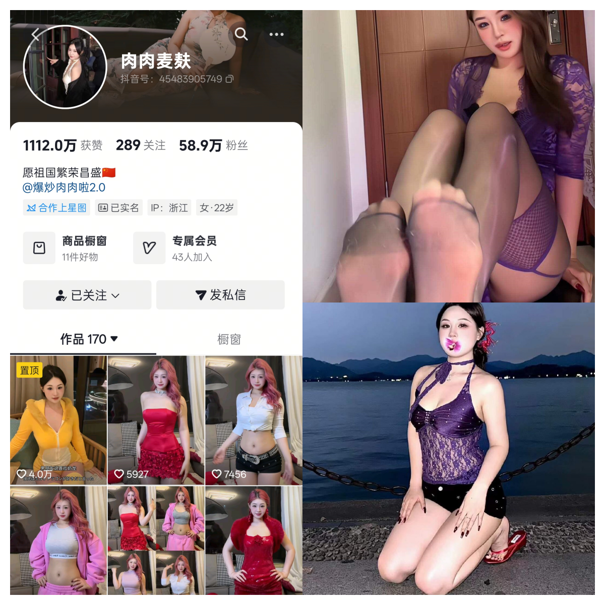 肉肉麦麸合集-电鸽