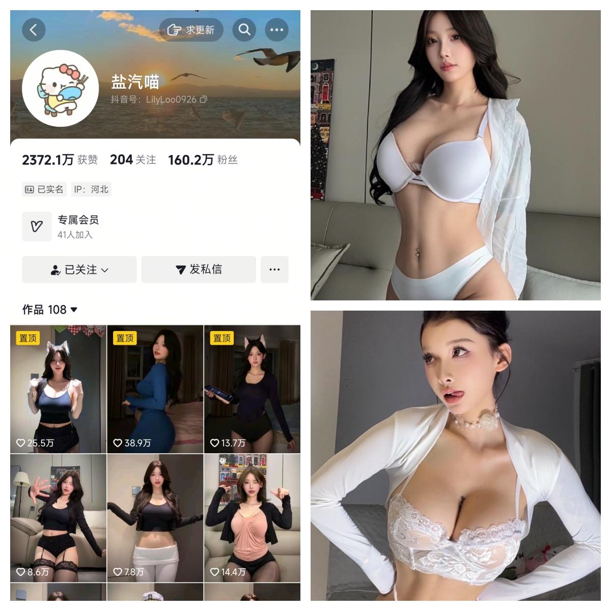 喵朵曦/盐汽喵合集-电鸽