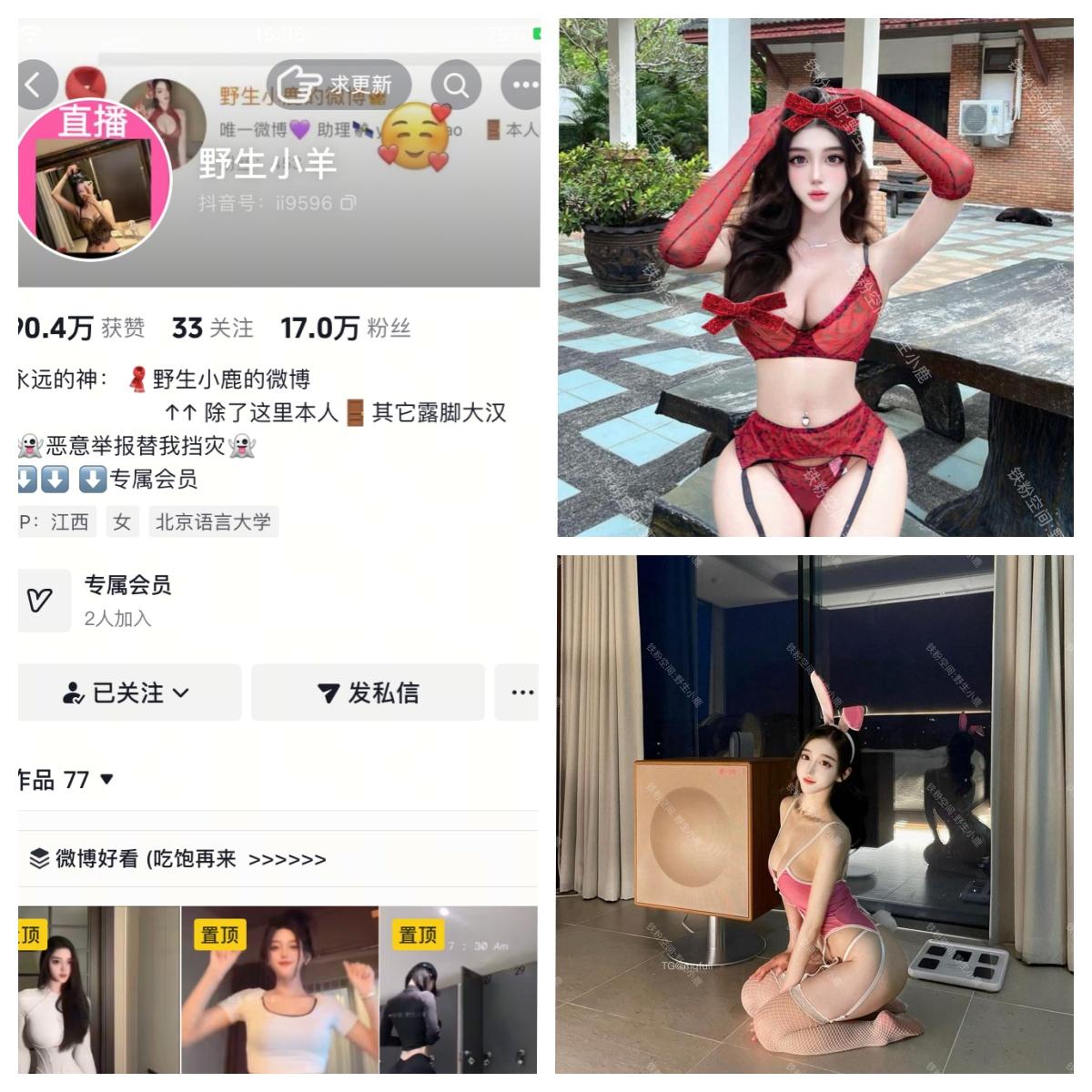 野生小羊 秘语空间/幻宇星球合集-电鸽