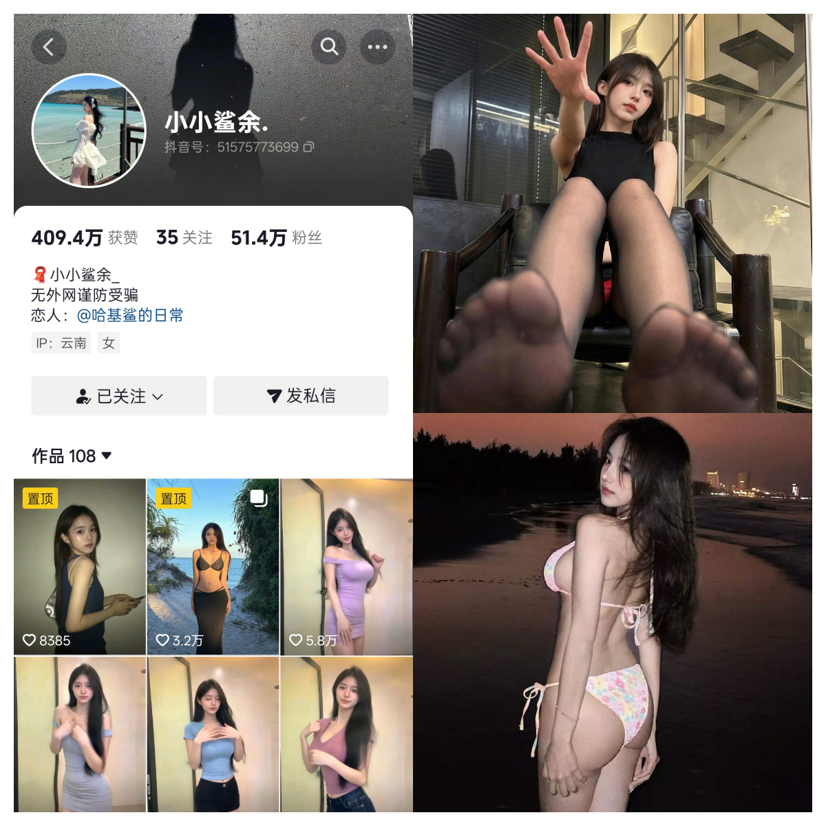 小小鲨余 合集-电鸽