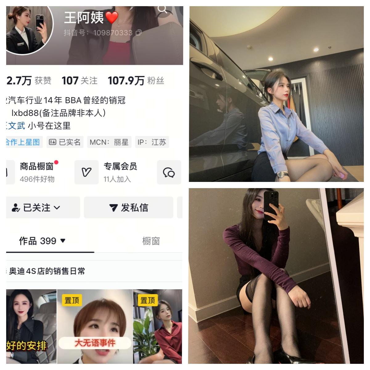 王阿姨合集-电鸽