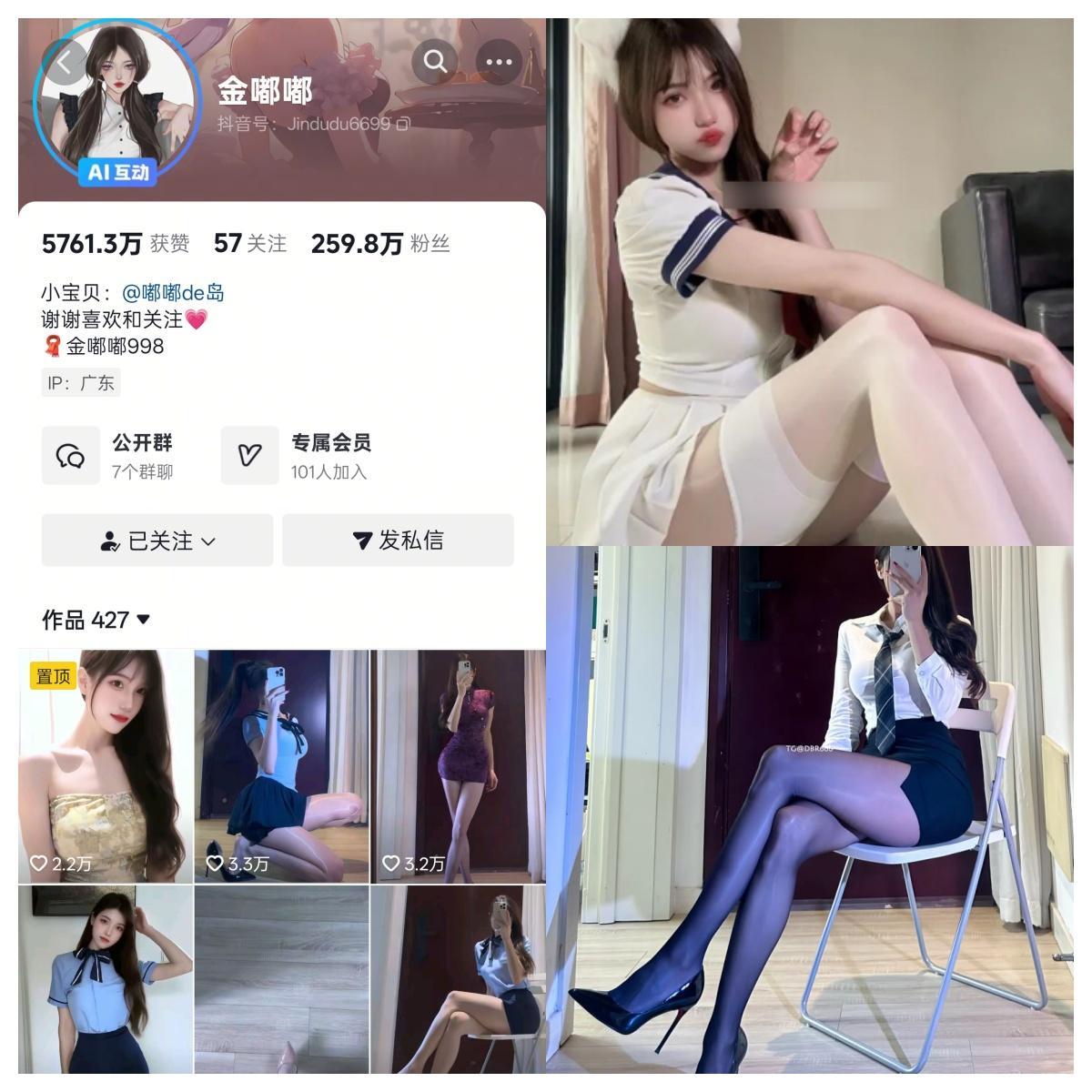 金嘟嘟合集-电鸽