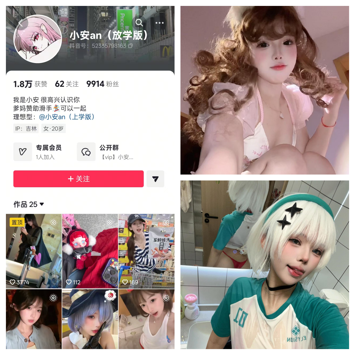 小安an合集-电鸽