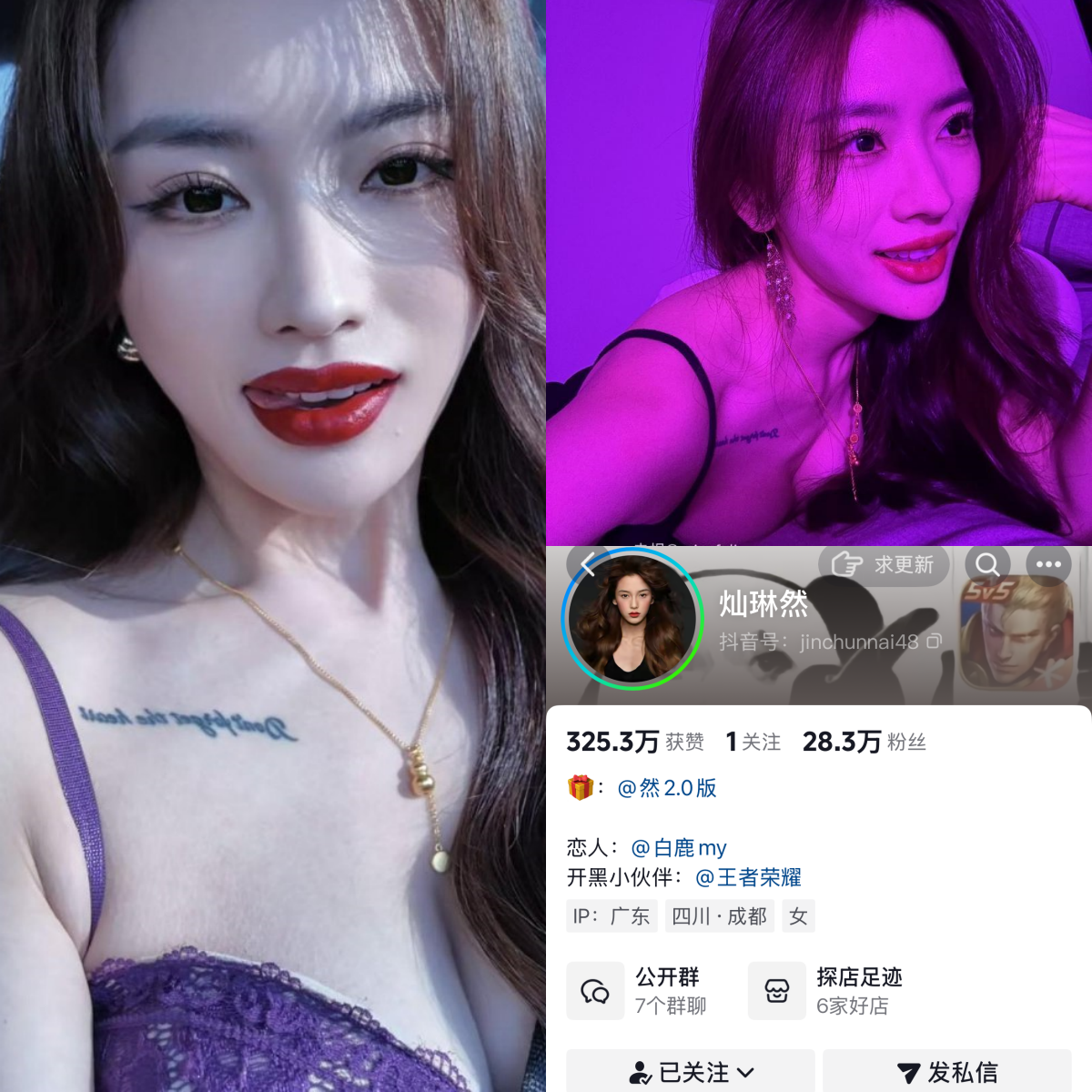 灿琳然合集-电鸽