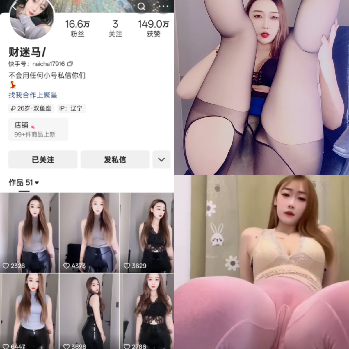 快手财迷马私人定制-电鸽