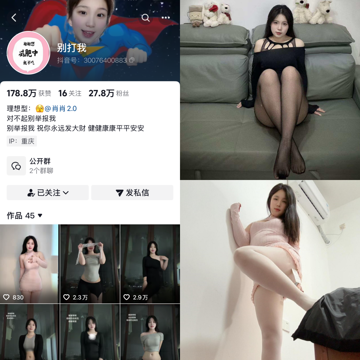 别打我 合集-电鸽