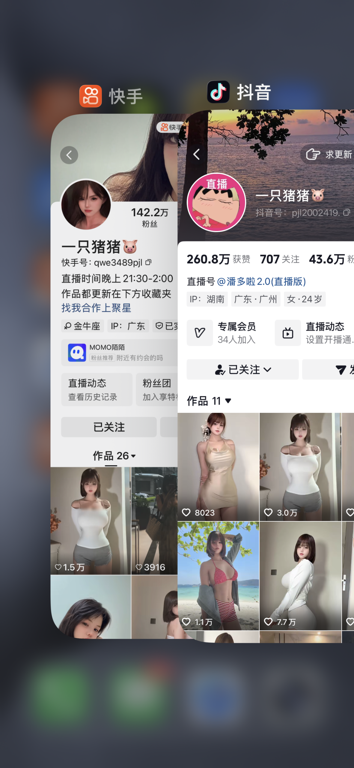 图片[2]-快手一只猪猪私人定制-电鸽