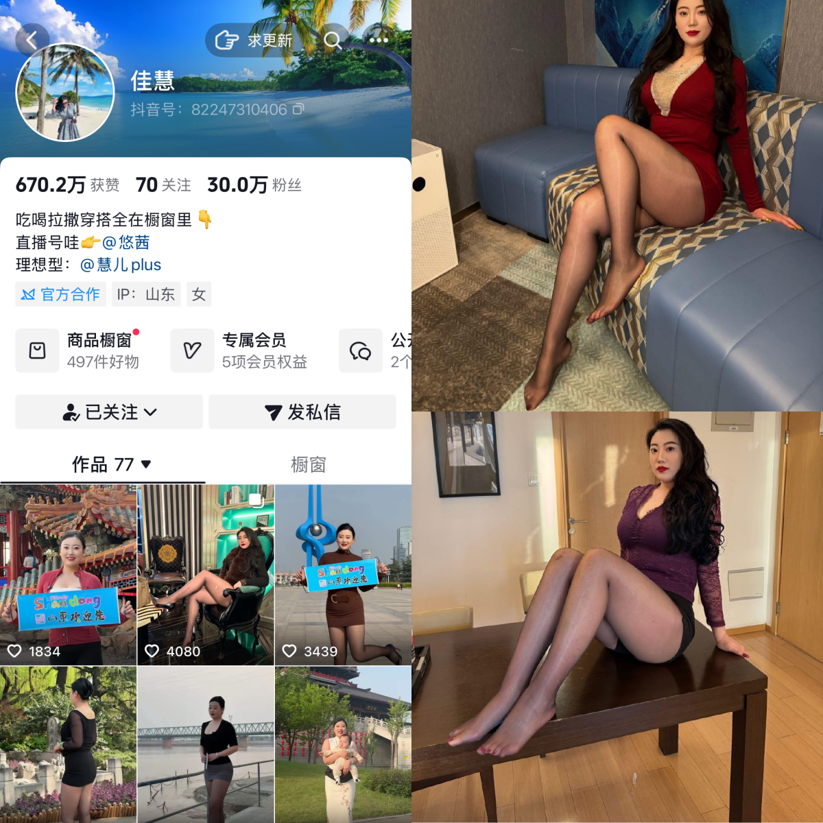 张佳慧合集-电鸽