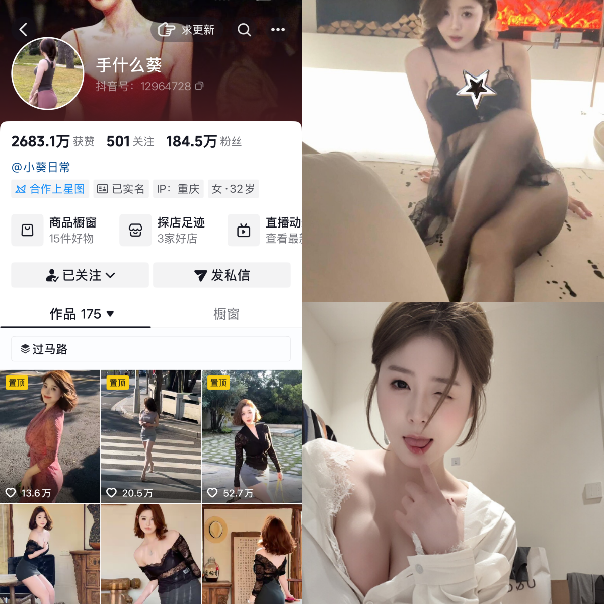 手什么葵合集-电鸽