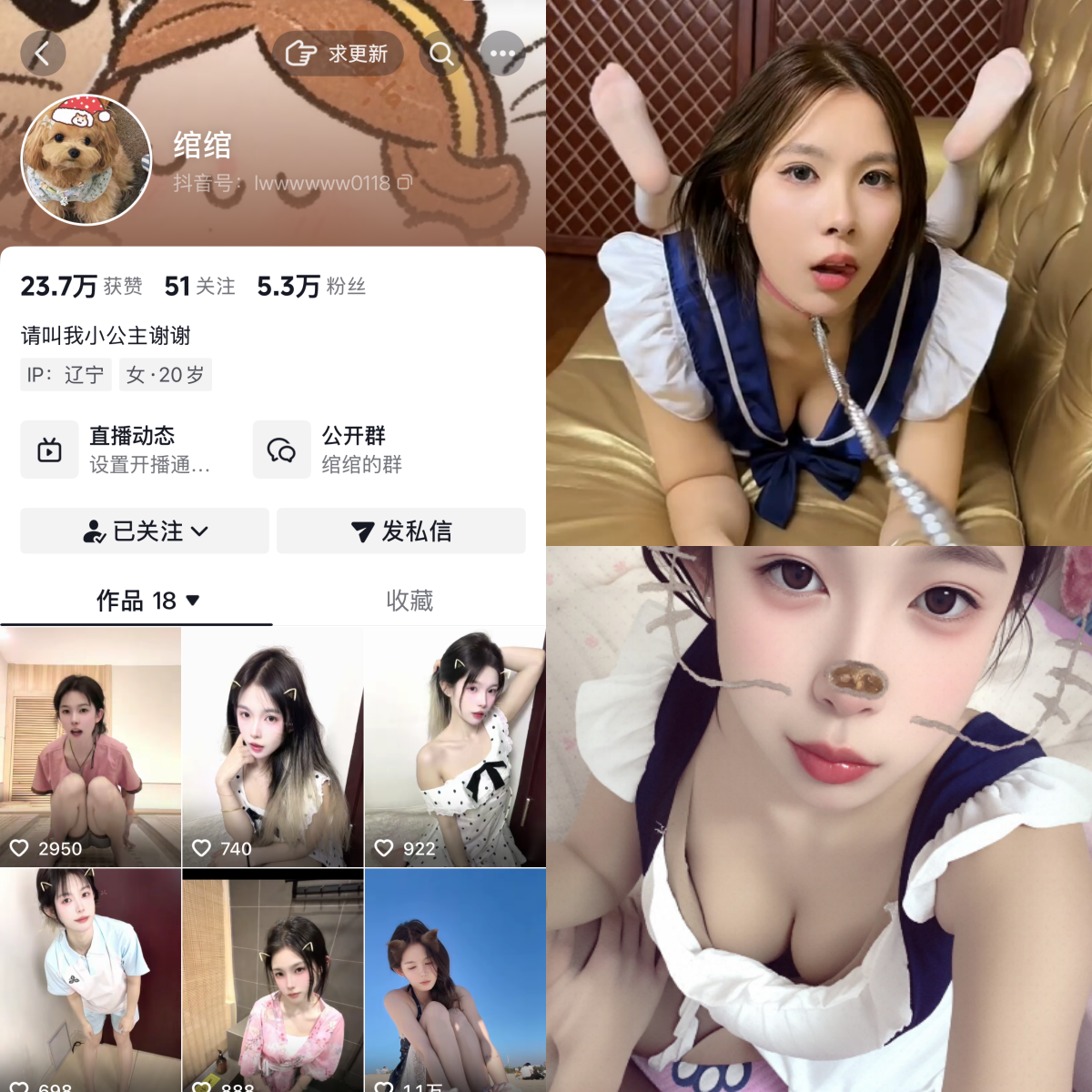 绾绾合集-电鸽