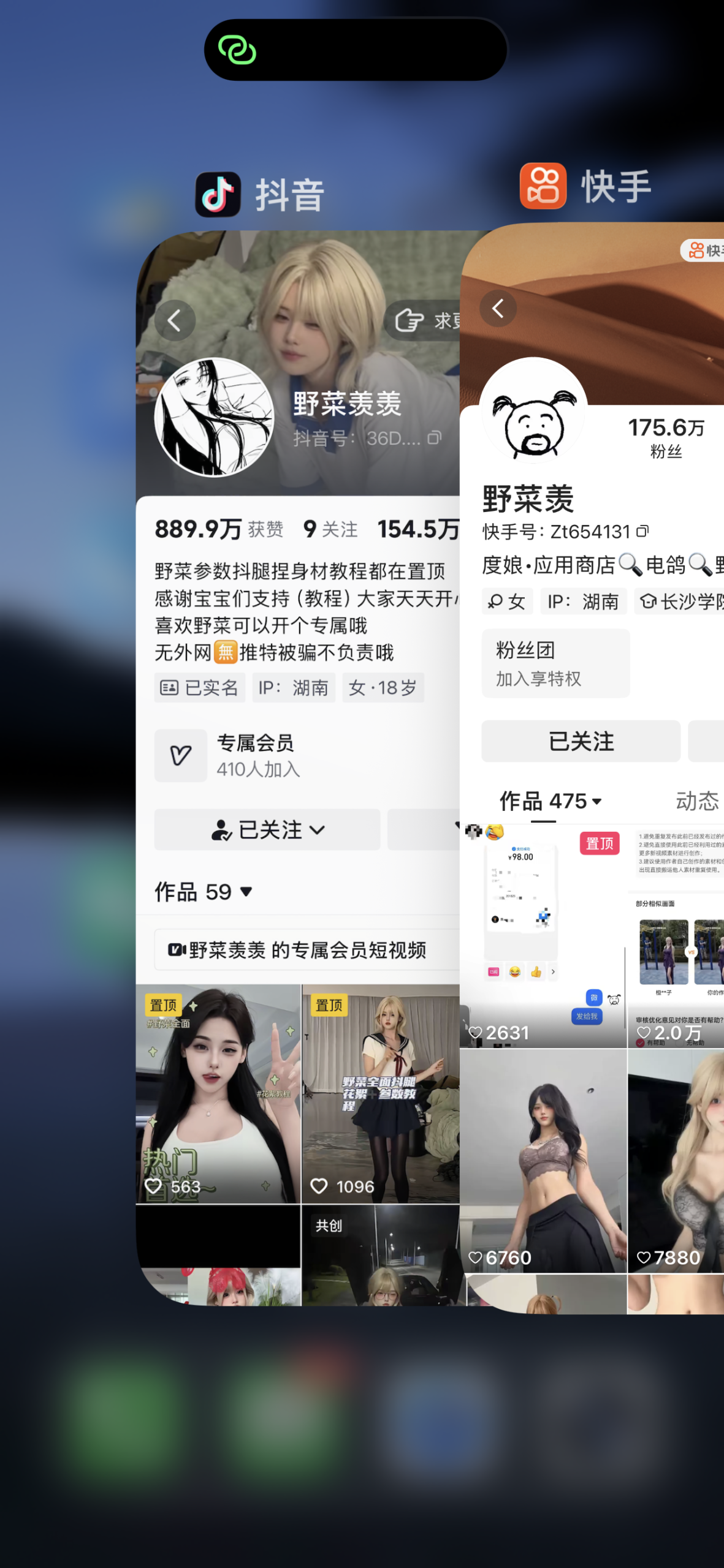 图片[2]-野菜羡羡 合集-电鸽